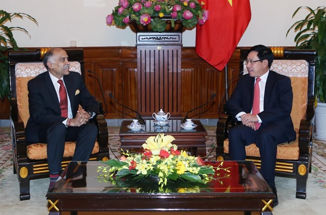 Deputy Prime Minister receives Indian Ambassador - ảnh 1